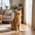 thumbnail image 4 of Fruit Print Cats Collar with Jingler Adjustable 20-28cm Safety Buckle for Indoor and Outdoor, 4 of 7