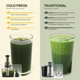 Masticating Juicer Machines, Cold Press juicer Machine Compact Size, Juice Extractor, Nutrient