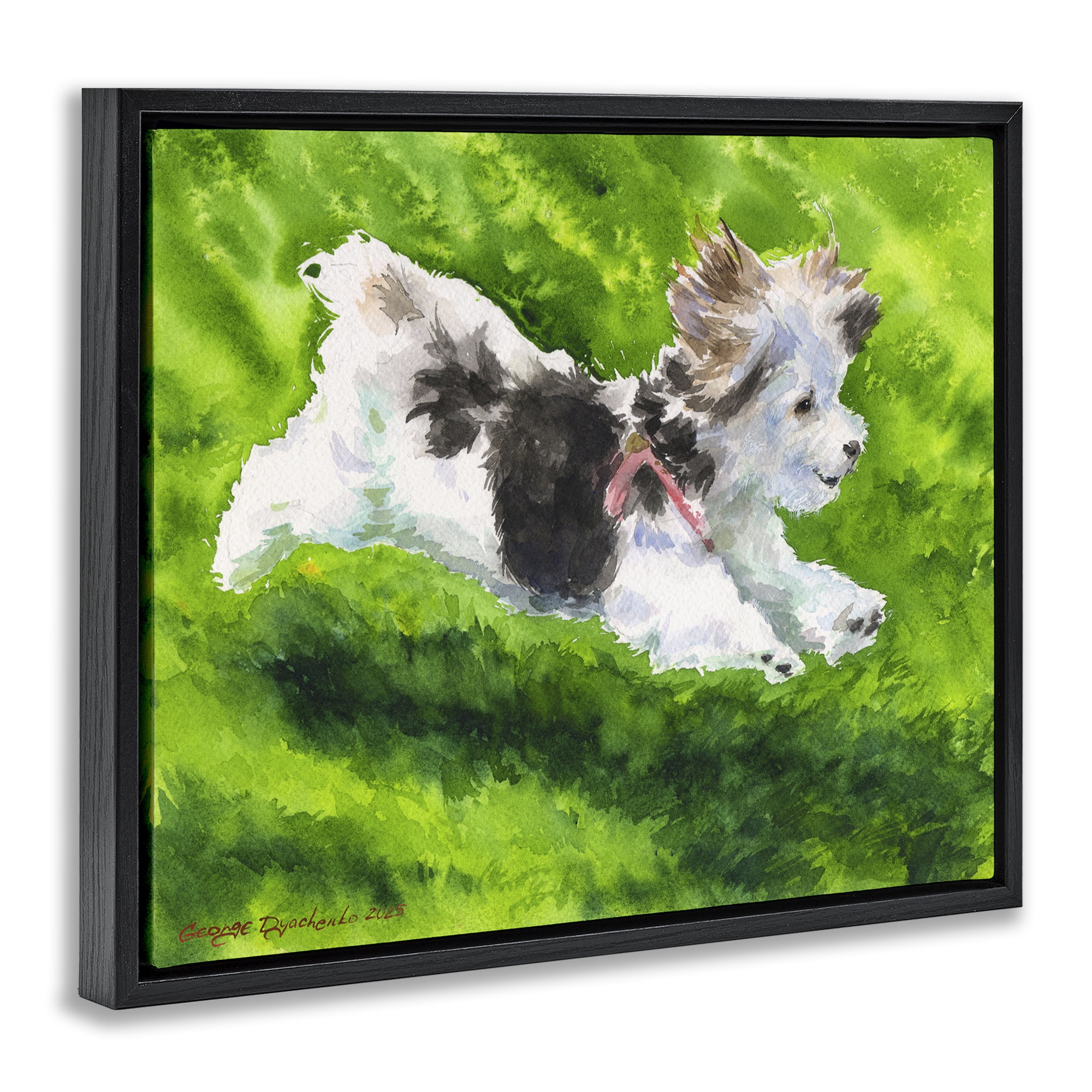 Stupell Industries Happy Maltipoo Running Black Framed Floater Canvas Wall Art, design by George Dyachenko