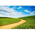 thumbnail image 2 of Eggers, Terry 18x13 Black Ornate Wood Framed with Double Matting Museum Art Print Titled - Winding backroad through Spring wheat fields-USA-Washington State-Palouse Region, 2 of 4