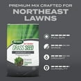 thumbnail image 4 of Scotts Turf Builder Grass Seed Northeast Mix, 5.6 lbs., 4 of 11
