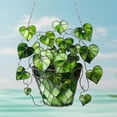 thumbnail image 6 of SLYNSHome Green Plant Sun Catcher Window Hanging Ornaments,Acrylic Green Vines Plant Pot Suncatcher for Indoor Window Decor Wall Art Plants, 6 of 7