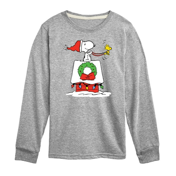 Peanuts - Snoopy & Woodstock House Sleigh - Toddler And Youth Long Sleeve Graphic T-Shirt