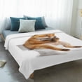 thumbnail image 4 of Funny Foxes Blanket Soft Cozy Warm Throw Blanket for Couch, Plush Fuzzy Flannel Fleece Blankets for Sofa, Cute Art Fun Lovely Animals on Toilets Bed Blankets Lightweight Gifts for Women, 30"x40", 4 of 9
