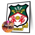 thumbnail image 1 of Cuadros Decorativos Diamond Painting Wrexham Association Football Club 5D Kits de bricolaje Taladro redondo completo Tmvgtek embutido en tela, 1 of 8