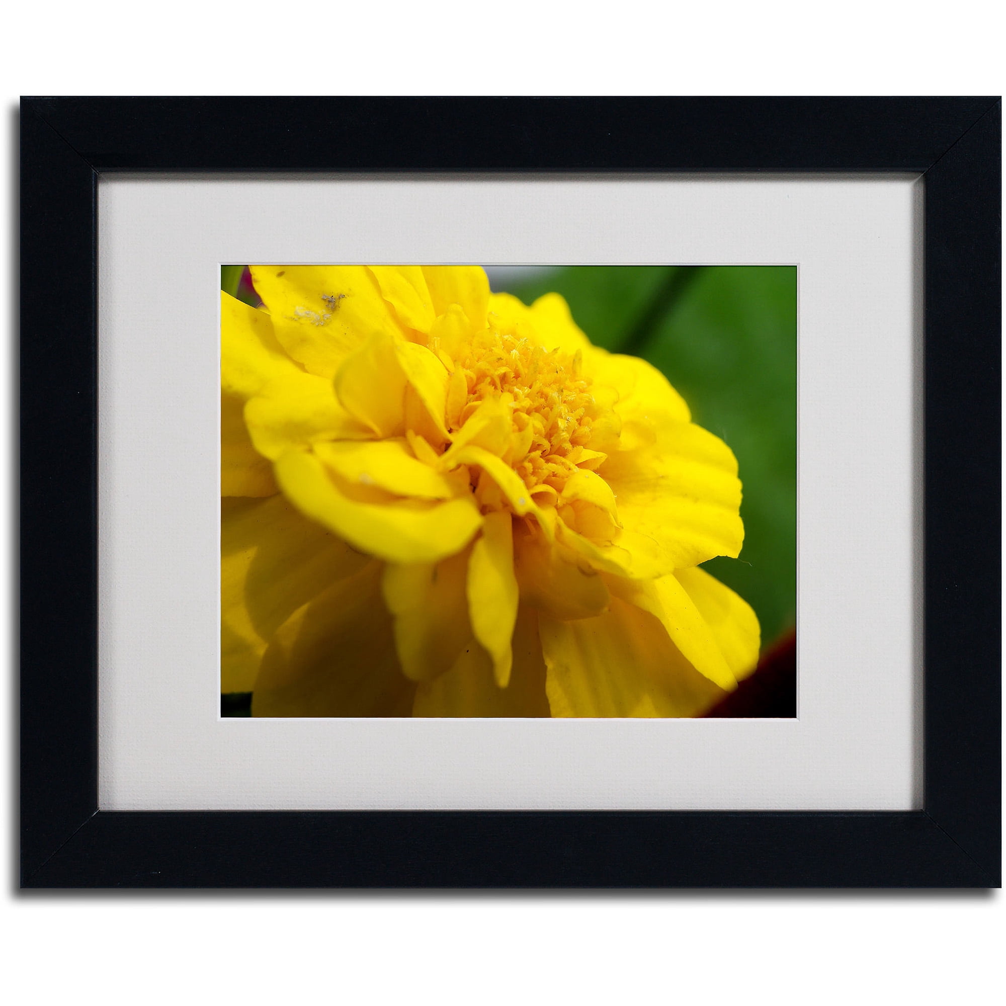 Trademark Fine Art "Ambiguous Vision" by Monica Fleet, Black Frame