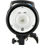 Elinchrom D-Lite RX 4 Flash Head (400Ws)