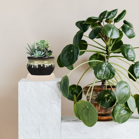 WHAMVOX  10 Pcs Plant Tray Plates to Catch Water Indoor Plants Plastic Planter