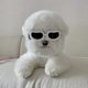 thumbnail image 4 of Gafas de sol para perros, gafas de sol Ant - UV negras para perros, gafas para mascotas con correas ajustables para gatos y perros pequeños, 4 of 4