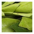thumbnail image 3 of Hoja de naranjo por pieza, 3 of 3