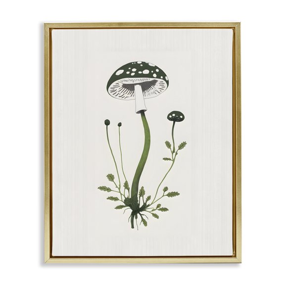Stupell Industries French Country Minimal Spotted Mushroom Gold Floating Frame Canvas Art, 17 x 21, by Petals Prints Design