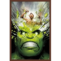 Marvel Comics - The Incredible Hulk - Cover #171 Wall Poster, 22.375" x 34", Framed