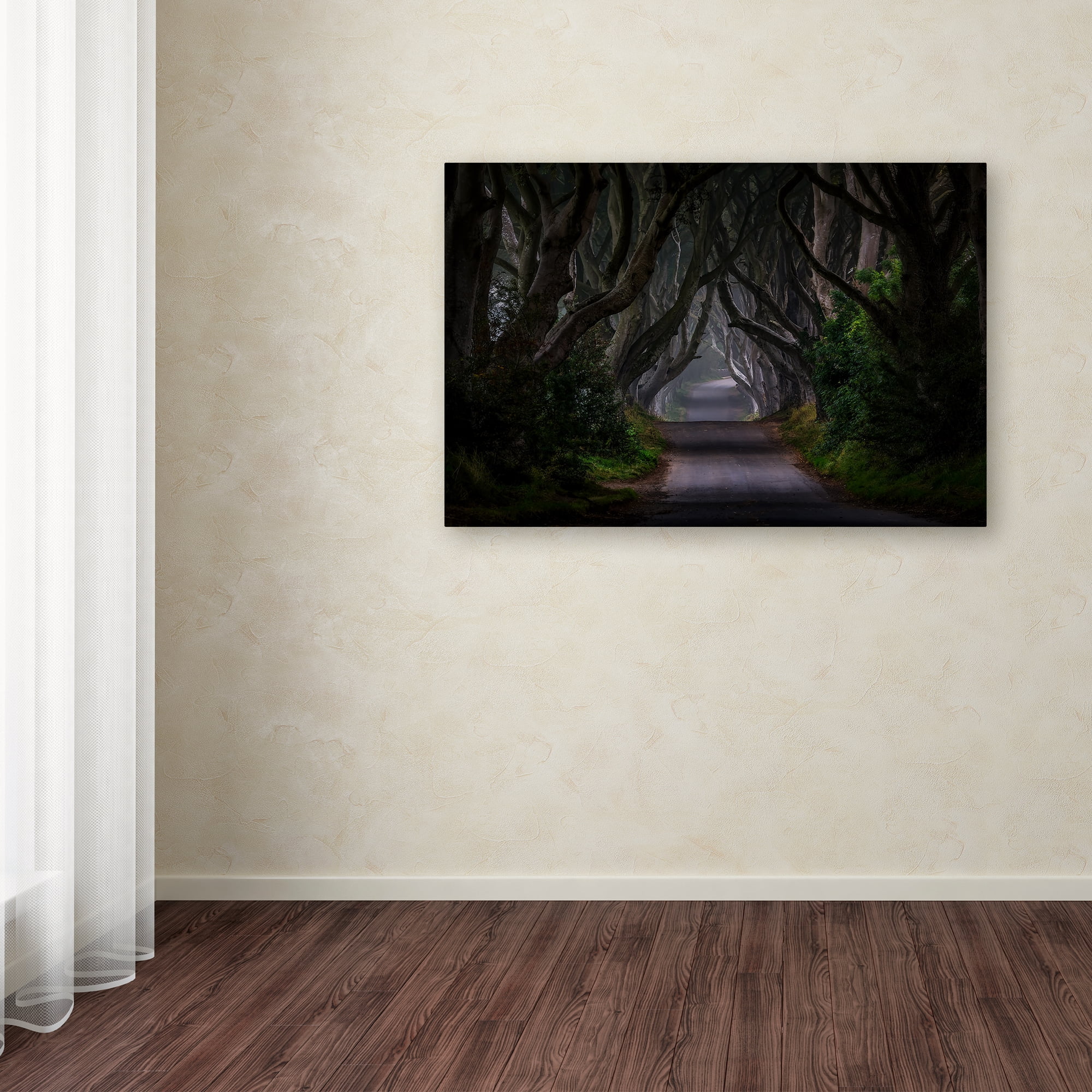Trademark Fine Art 'Magic Road' Canvas Art by Piotr Galus