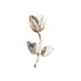 thumbnail image 1 of Broche de flores jinwen Plata Rosa Joyería para hombre Boda Platino, 1 of 8