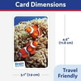 thumbnail image 5 of PAPP Trivia Games: 120 Flash Cards - Middle School Environment & Geography, 4 Pack, 5 of 9
