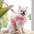 thumbnail image 3 of Dog Dress Harness Vest with Leash Set, Lace Flower Trim Collar Girls Vest Harness And Leash Set Summer Clothes Outdoor Walking Harness for Small Medium Dogs Cats, 3 of 8