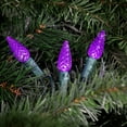 thumbnail image 3 of Northlight LED Faceted C6 Christmas Lights - Purple - 23' Green Wire - 70ct, 3 of 5