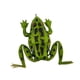 thumbnail image 3 of Señuelo de rana, señuelo de trucha y lucio, anzuelos sin malezas, compactos, suaves para la pesca de lubina, señuelo para Patrón verde, 3 of 9