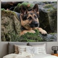 thumbnail image 2 of Orinice Dog Tapestry Wall Hanging Unique Style Graphic Tapestries for Home Wall Decor Living Room Bedroom Farmhouse 60x50inch, 2 of 6