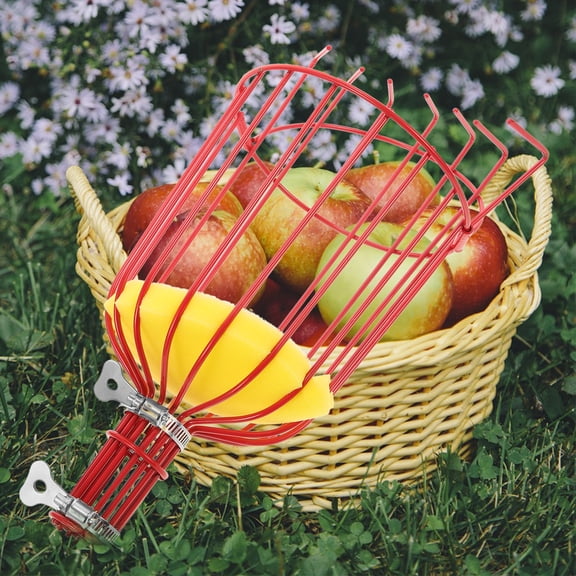 Rhewides Metal Fruit Picker with Basket Garden Farm Fruit Catcher Harvest Picking Tool Tree Picker Pole for Orange