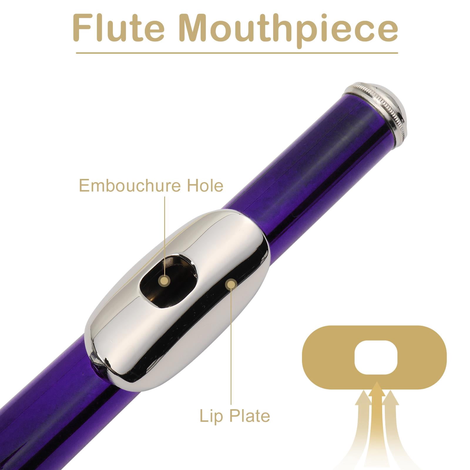 Zimtown 16 Hole C Flute for Student Beginner School Band with Case
