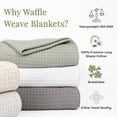 thumbnail image 3 of Arkwright Home LLC. Aston & Arden Waffle Weave Cotton Blanket Twin - Green, 3 of 5