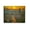 08.The Sower, variant on DECORARTS - Cafe Terrace At Night by Vincent van Gogh. Giclee Print on Canvas Wall Art for Home or Office, Ready to Hang