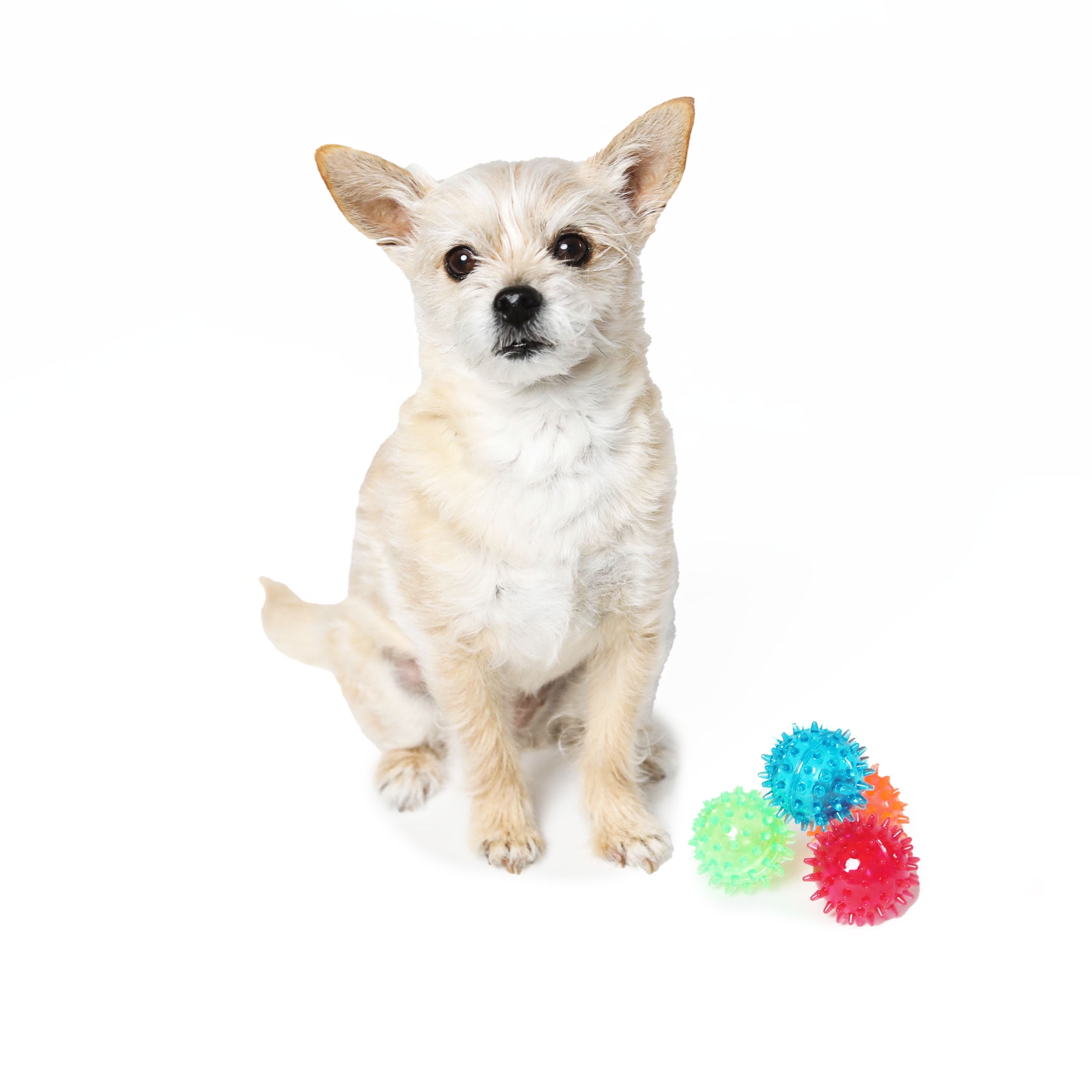 Vibrant Life Fetch Buddy Spiky Ball Fetch Dog Toys, 4-Pack Small, Color May Vary, Chew Level 2