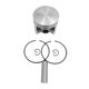 thumbnail image 4 of Juego de pistones,Juego de pistones Motor de pistón Pistón de motosierra,Kits de accesorios de repuesto para motosierras,Accesorios para piezas de motosierra de motor con anillos de, 4 of 8
