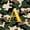 Olive Green A, variant on Feelyou Camouflage Letter E Twin Quilt Set for Boys, Rustic Camo Cabin Twin Coverlet Set, Green Gold, 2pcs
