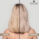 thumbnail image 2 of BLOND ME - Cool Blondes Shampoo Neutralizante 300 ml, para Rubios Fríos, con Tecnología 3D Bond Creation y Complejo Velvet Flower Protein, Limpia Suavemente y Cuida Cabello, Fort, 2 of 6