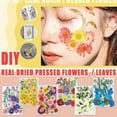 thumbnail image 1 of Xihbxyly Juego de Flores Secas Naturales Prensadas, Materiales para Manualidades Florales, Perfecto para Joyería de Resina, Decoración de Uñas, Fabricación de Velas, Scrapbooking, Decoración Diy, 35-, 1 of 1