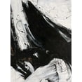 thumbnail image 2 of Douglass, Farrell 19x24 Gold Ornate Wood Framed with Double Matting Museum Art Print Titled - Staccato II, 2 of 4