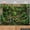 5x3FT, variant on Tropical Rainforest Backdrop Jungle Leafy Plants Mossy Stones Background Natural Green Jungle Wedding Birthday Party Decorations Banner Supplies Photo Booth Props