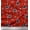 Apple Red, variant on Soimoi Brown Cotton Duck Fabric Star,Paisley & Cosmos Floral Print Sewing Fabric Yard 42 Inch Wide