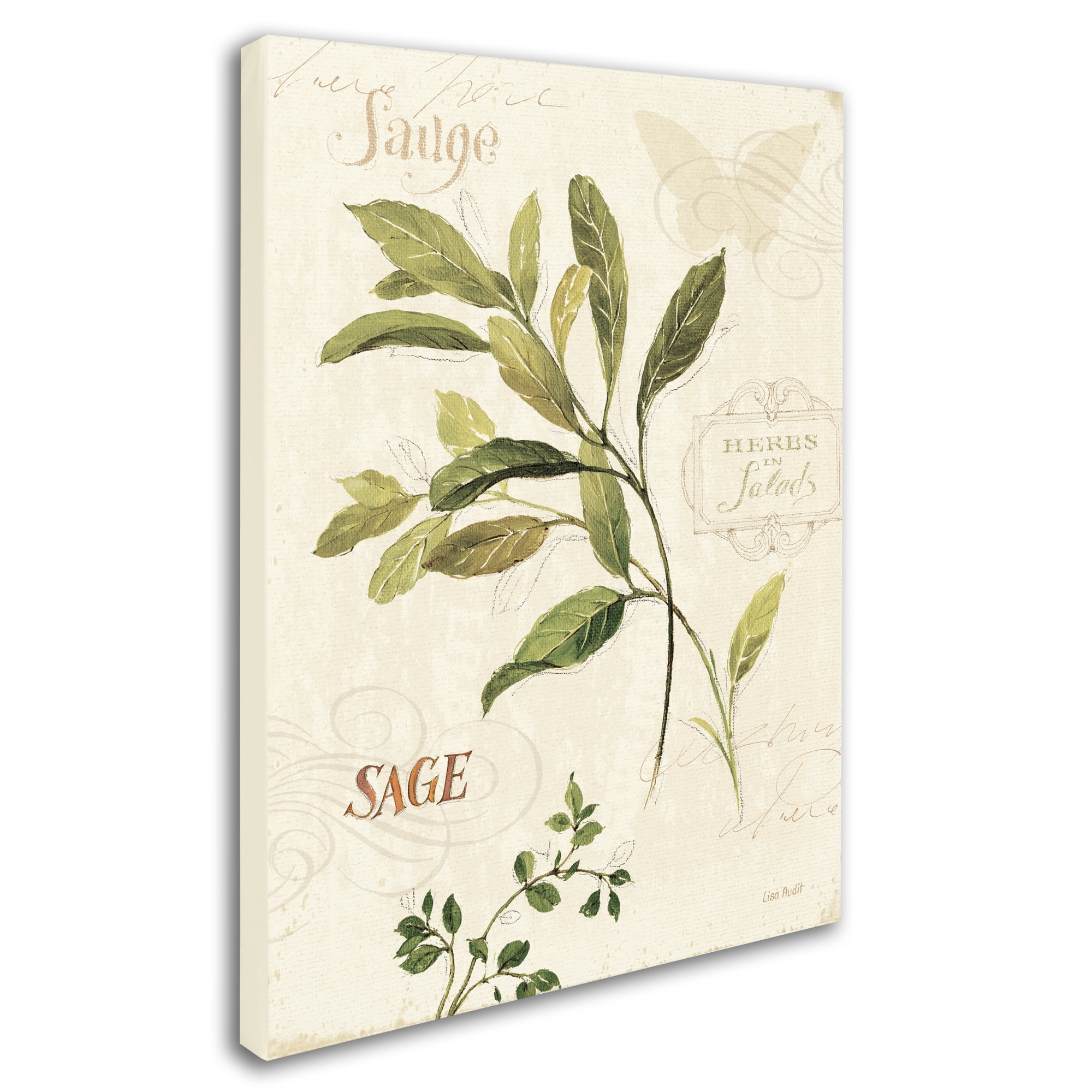 Trademark Fine Art "Aromantique IV" Canvas Art by Lisa Audit