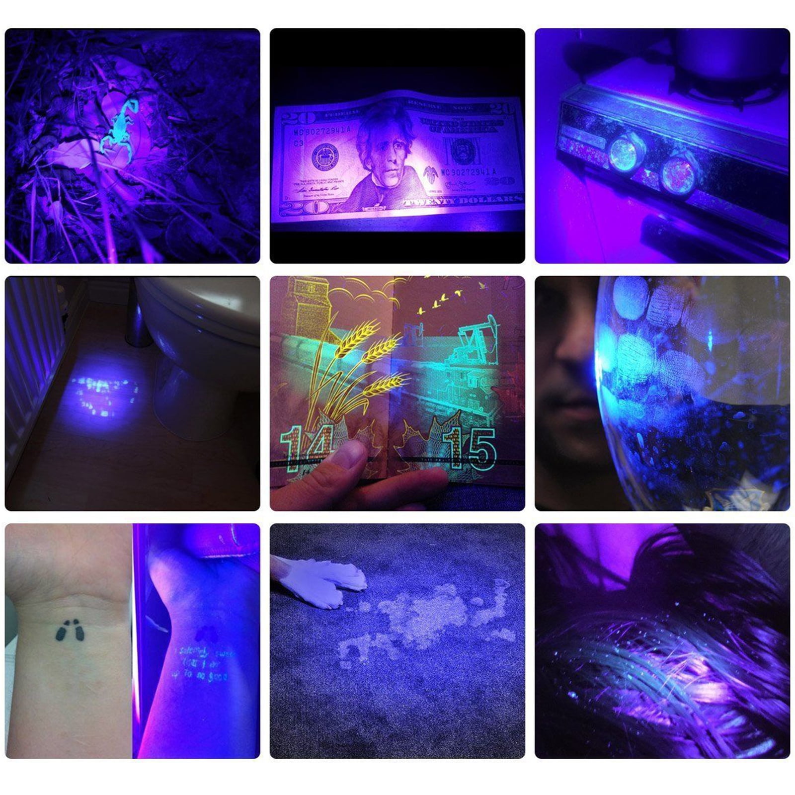 bright blacklight bright blacklight