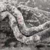 thumbnail image 4 of Unique Loom Finsbury Collection Area Rug - Elizabeth (6' x 9' Rectangle Gray/Ivory), 4 of 7