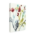thumbnail image 2 of Trademark Fine Art 'Abundant Flowers I' Canvas Art by Jennifer Goldberger, 2 of 4