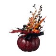 thumbnail image 2 of SUNSIOM Ensemble de Décorations Citrouille, Décorations de Récolte d'Automne pour Maison Table Mariage Bricolage Automne Halloween Action de Grâce Décor, 2 of 8