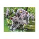 thumbnail image 1 of DIY 5D diamante pintura bordado animal patrón punto de cruz kit de imagen decoración del hogar - estilo 3 Jumpingount JJ15626-03, 1 of 6