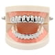 thumbnail image 5 of Conjunto de regalo Wosthever de accesorios de hip hop de diente dorado grande de Halloween Type10 NO10, 5 of 6