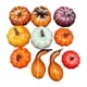 thumbnail image 3 of 10x calabazas artificiales, calabazas decorativas, exhibición de cosecha, decoración de Halloween, artesanías de espuma, calabazas para decorar repisa, 3 of 9