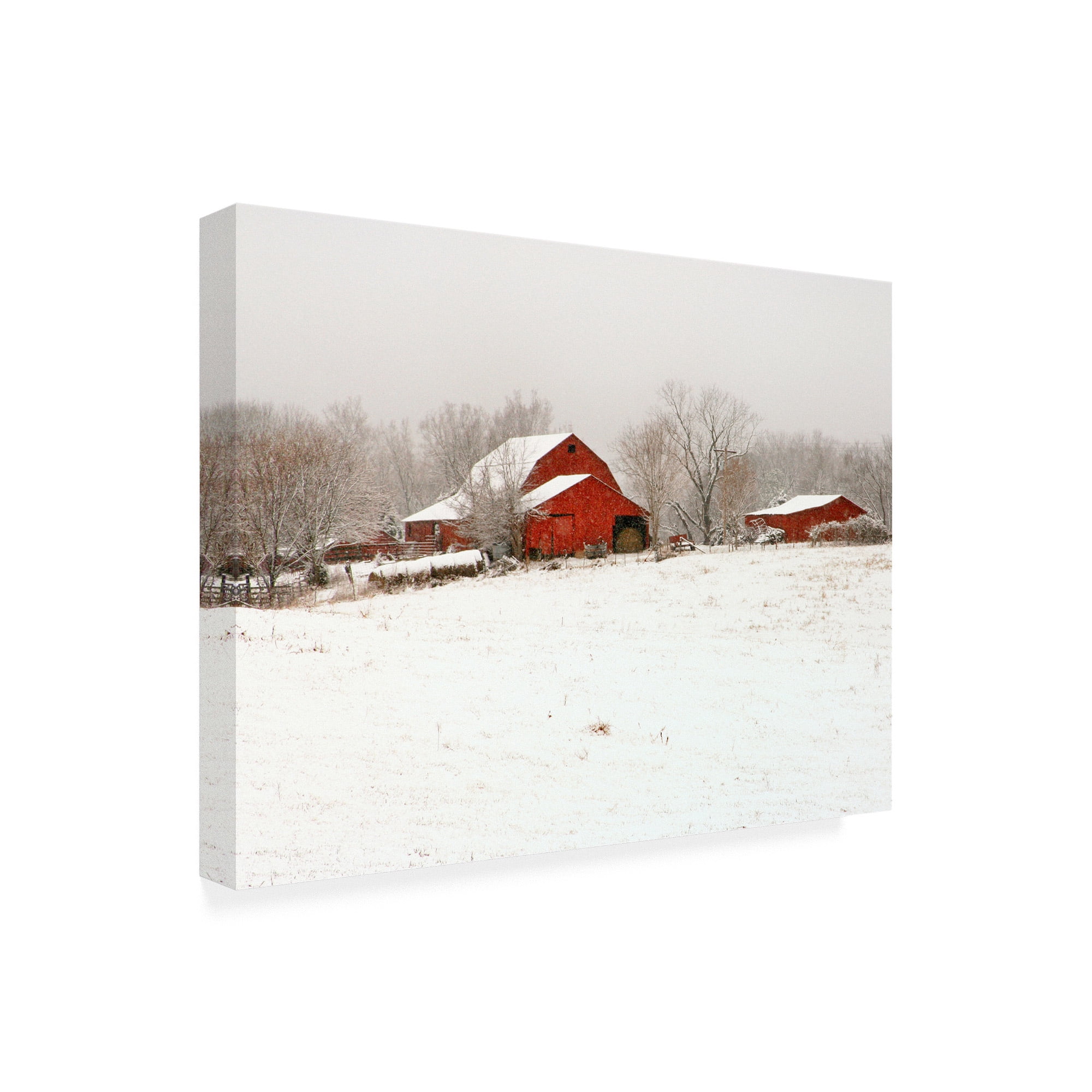 Trademark Fine Art 'Union Co. Barn & Snow' Canvas Art by David Hammond
