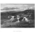 thumbnail image 3 of Scott, John 17x15 Black Modern Framed Museum Art Print Titled - Foxhounds, 3 of 5