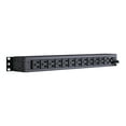 thumbnail image 3 of CyberPower Basic Series PDU15B6F12R - Unité de distribution de Puissance (Montable en Rack) - AC 120 V - Entrée: NEMA 5-15 - Connecteurs de Sortie: 18 (NEMA 5-15) - 1U - pour Application Intelligente Sinewave PR1000LCD, PR1500LCD, PR750LCD, 3 of 5