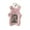 Pink, variant on Binwennn Decorative Easter Eggs for Crafts Cute Photocard Holder With Keychain Cartoon Cat Rabbit Photo Sleeve ID Bank Card Bus Protective Photo Sleeves Protector