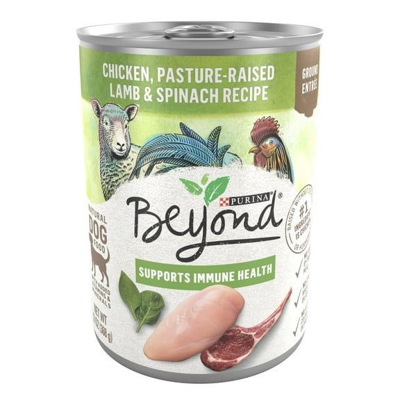 Purina Beyond Immune Health Wet Dog Food Real Soft Chicken, Lamb & Spinach, 13 oz Can