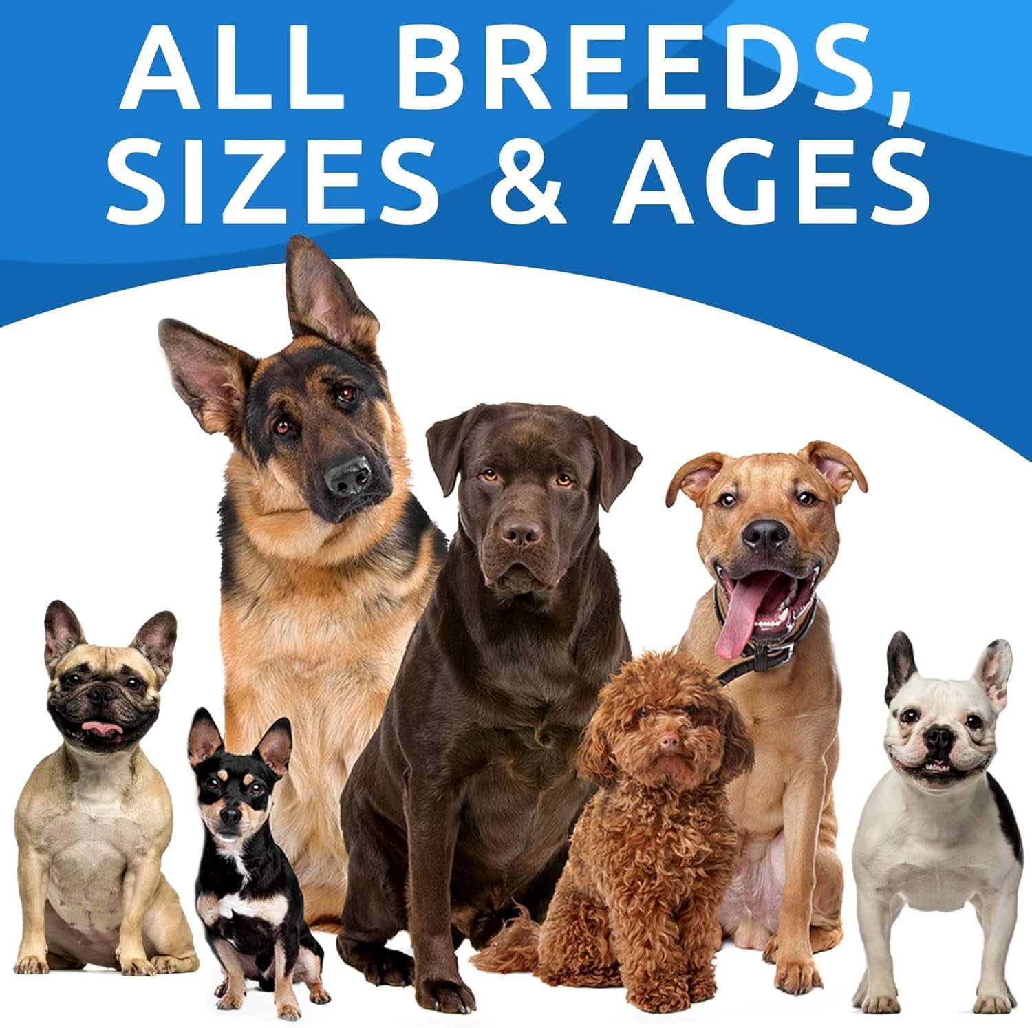 Bark&Spark Dog Allergy Relief Chews - Omega-3 Fish Oil, Anti-Itch - Itchy Skin, Paw Licking & Hot Spots - Skin & Coat Support (120 ct)