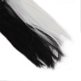 thumbnail image 2 of Perruque synthétique longue et lisse pour femme, noire et blanche, aspect naturel, tendance, pour cosplay, fêtes d'Halloween, 2 of 4